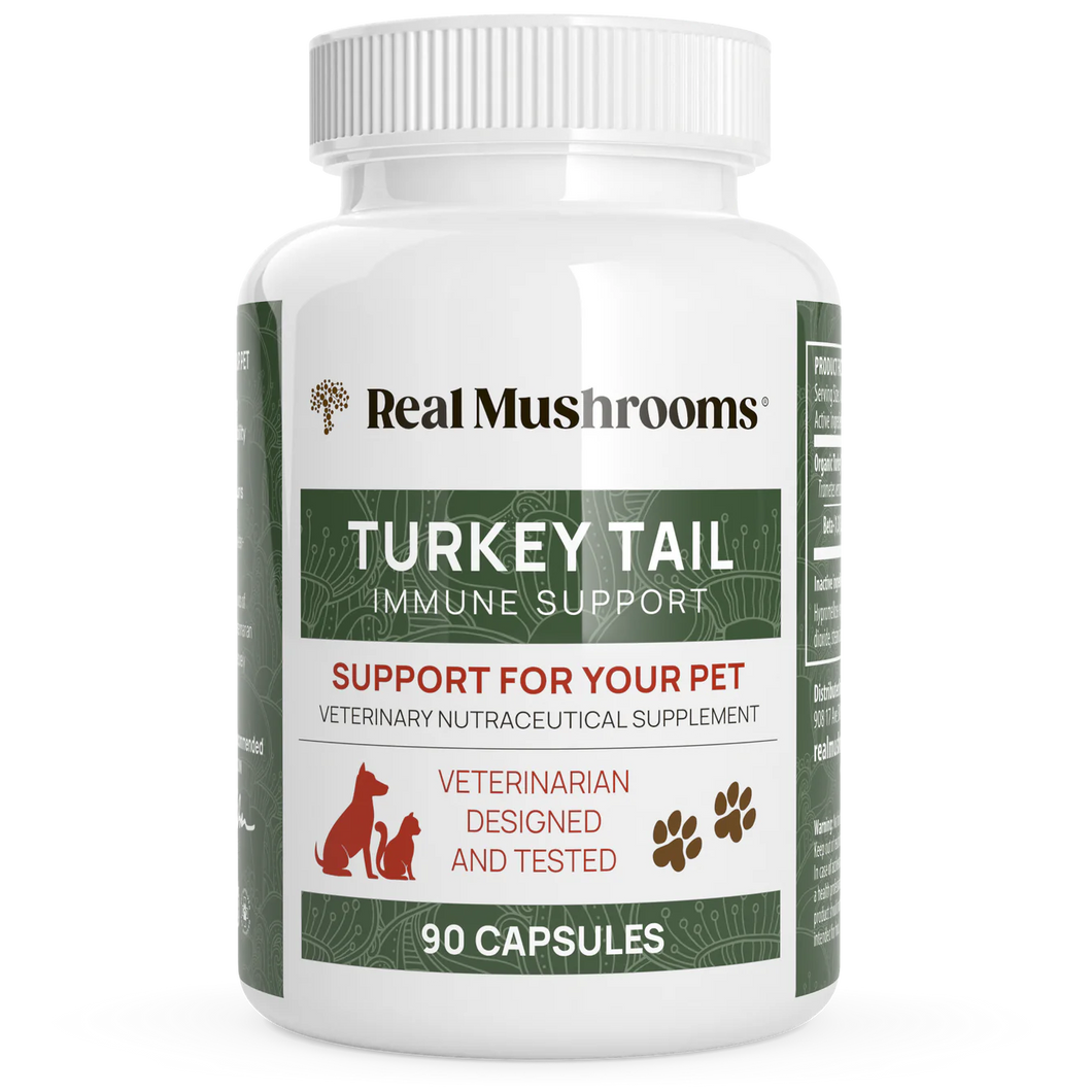 Turkey Tail Extract Capsules